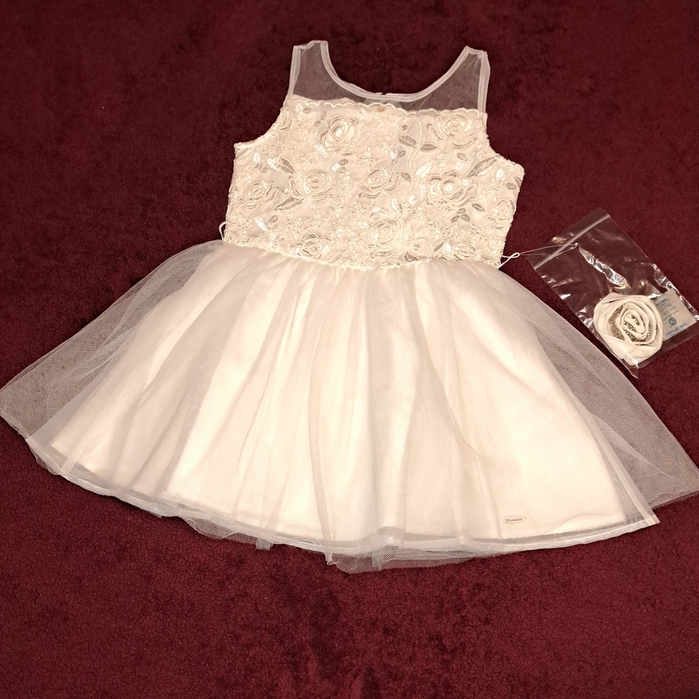 Fancy American Girl Dress (Toddler Size 6)